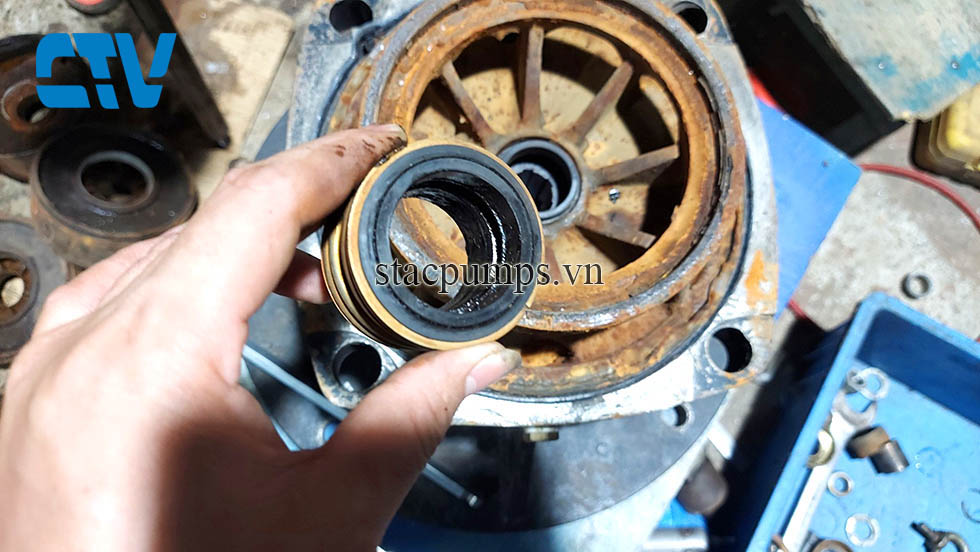 Dịch Vụ Thay Phớt Máy Bơm Trục Đứng Tại Hà Nội Uy Tín, Chuyên Nghiệp